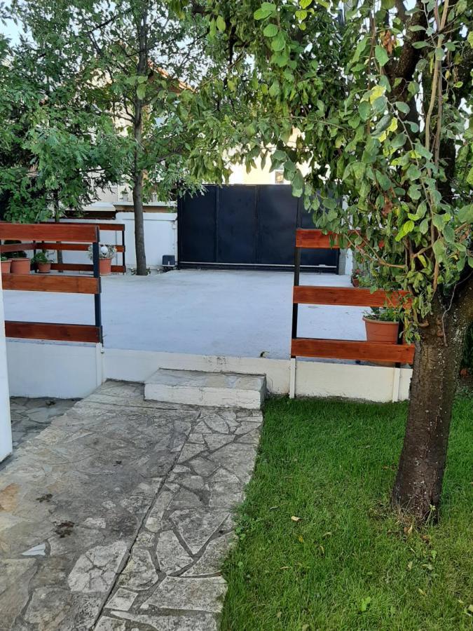 Queen Appartamento Belgrado