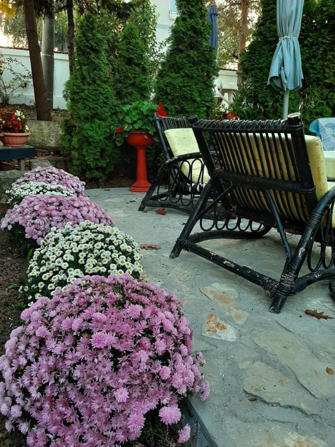 Queen Apartment Belgrade