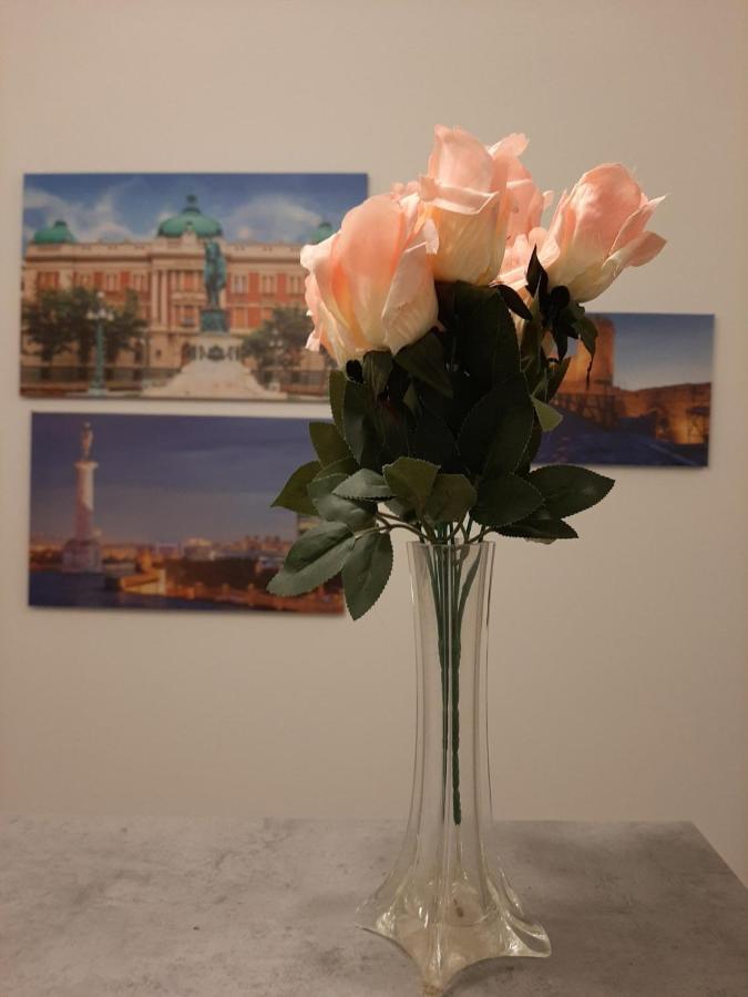 Queen Apartment